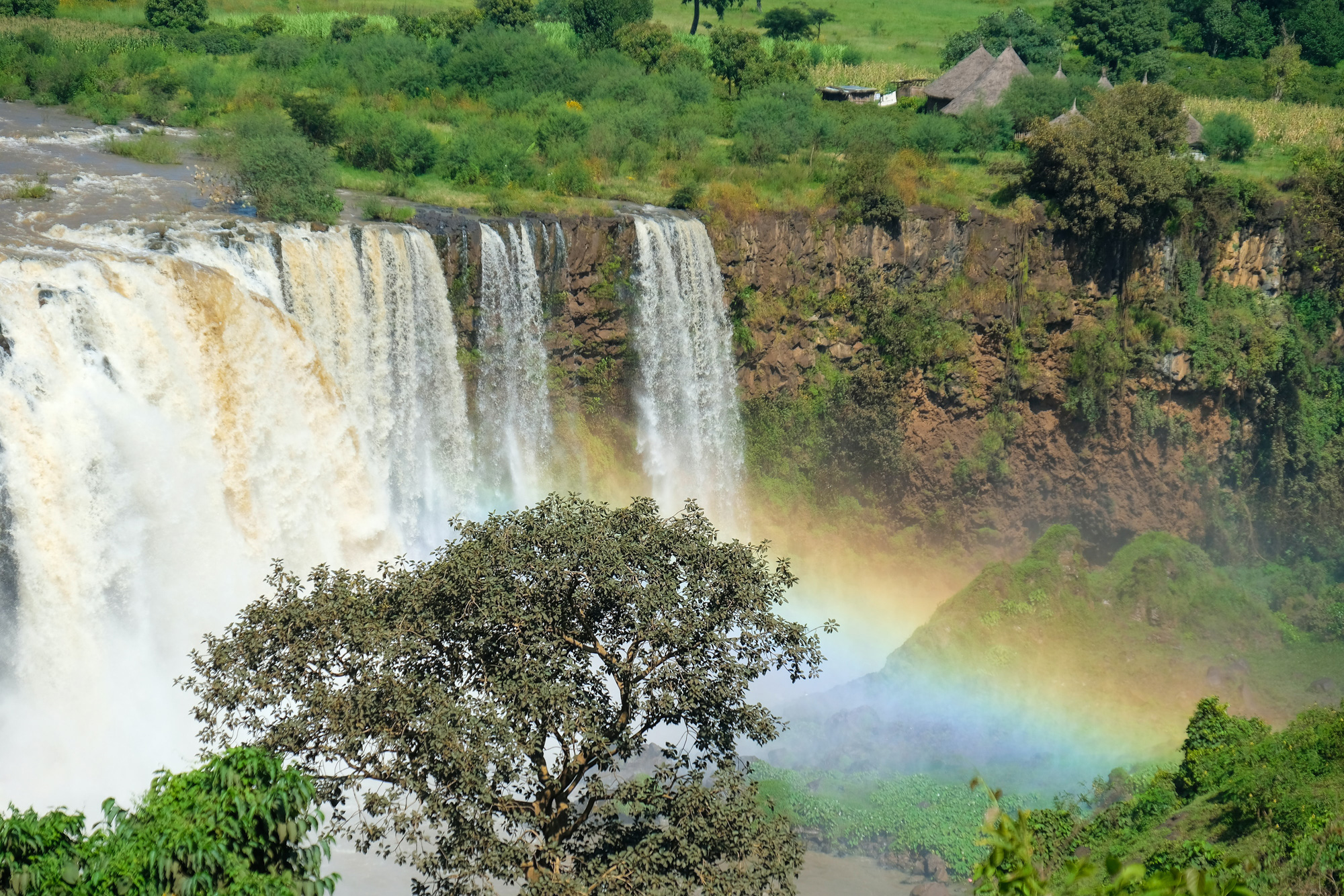 Viaggio In Etiopia Sulle Tracce Dellomo River Fratesole