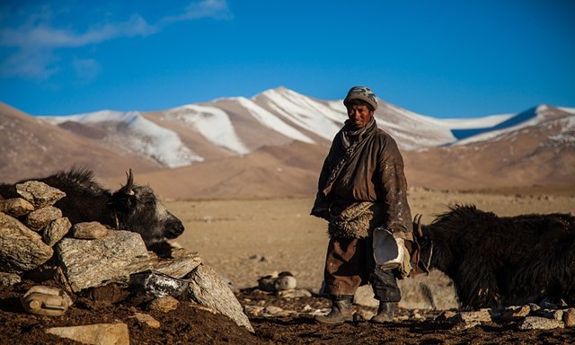 Viaggio in Mongolia: dal deserto del Gobi a Kharkhorin